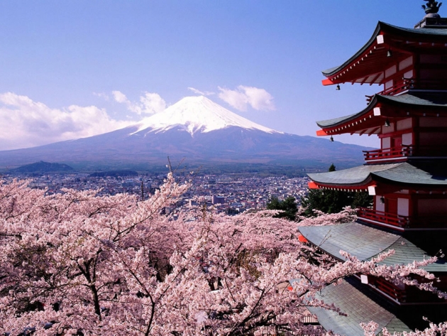 khám phá vẻ đẹp bốn mùa ở Nhật Bản